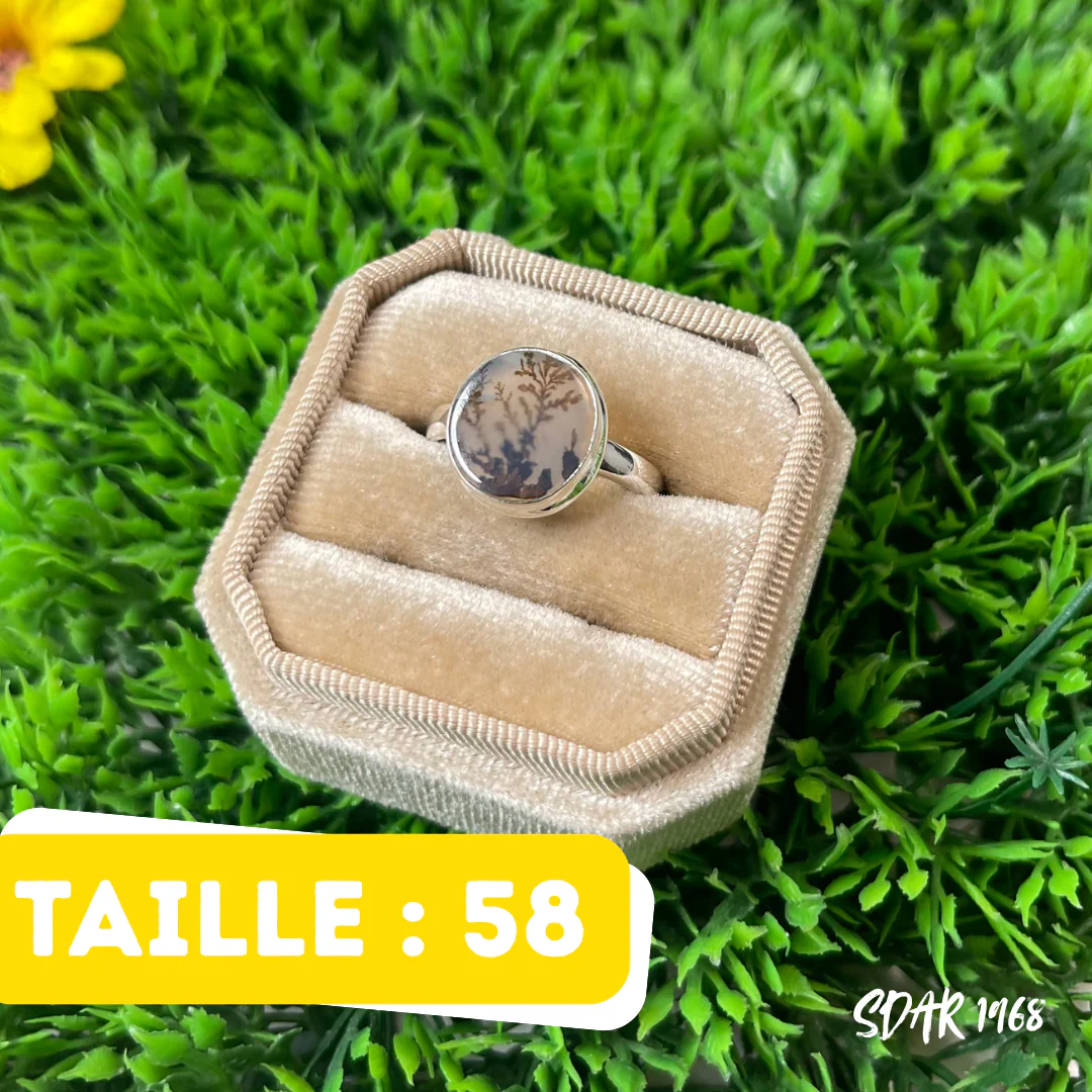 Bague Agate Dendrite Scénique #SDAR 1968