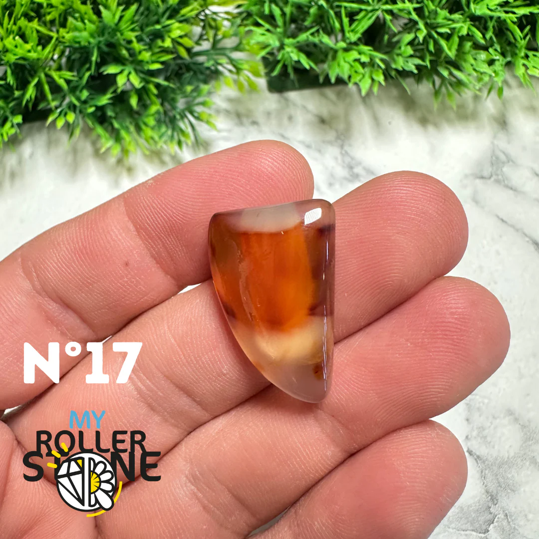 Cabochon Agate Montana Forme libre - Image 18