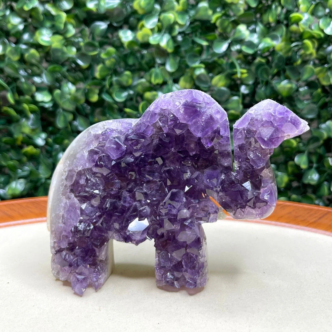 Géode Améthyste Eléphant #6