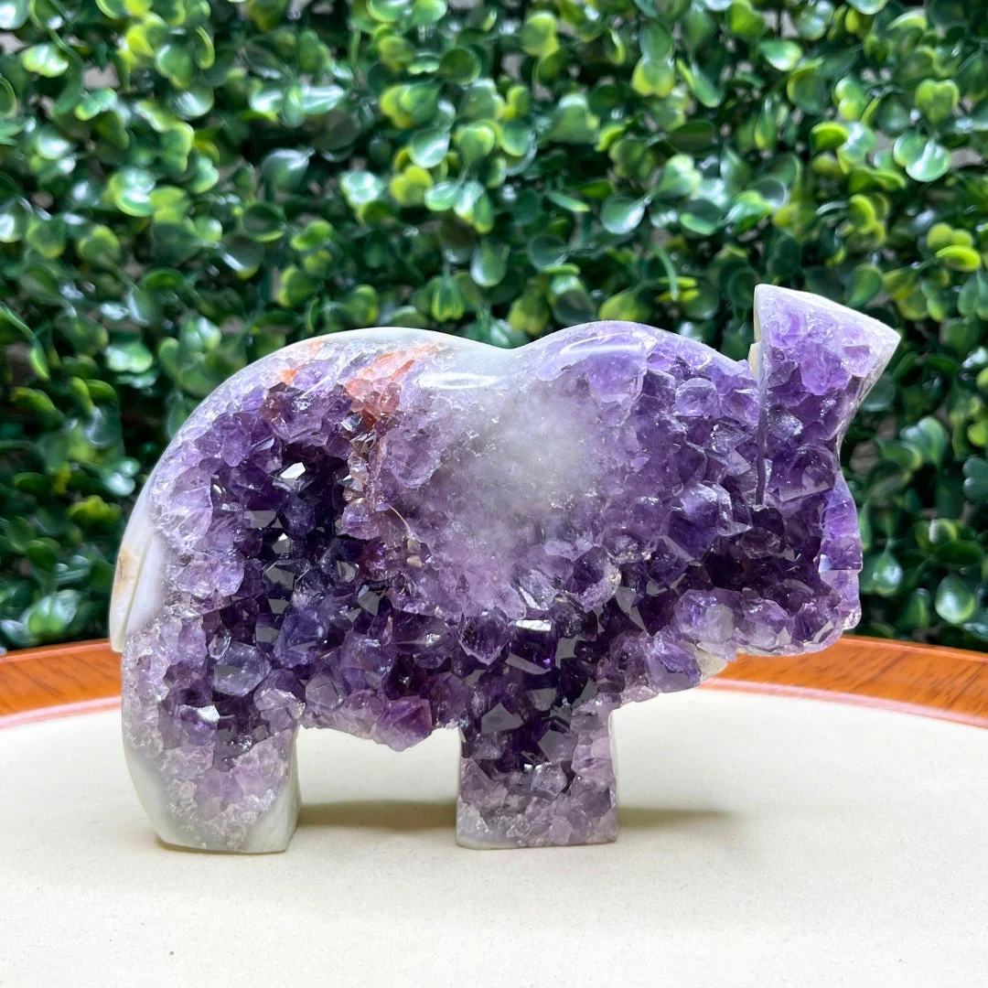 Géode Améthyste Eléphant #7