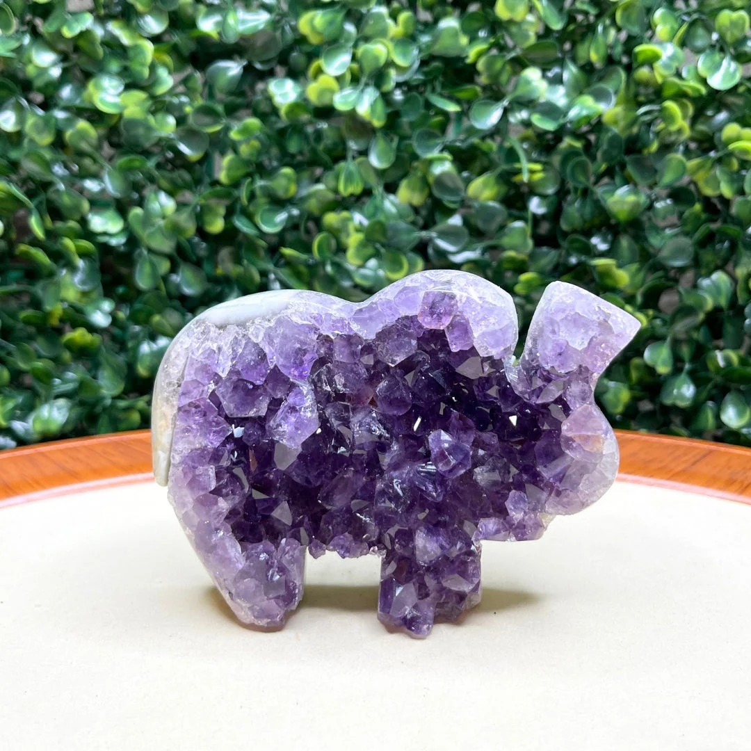 Géode Améthyste Eléphant #9