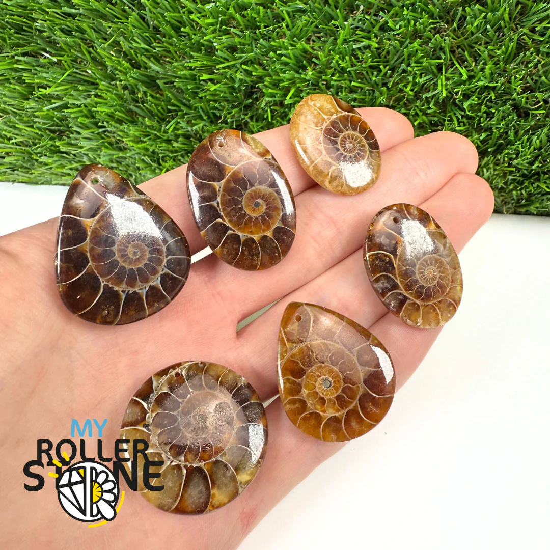 Pendentif Ammonite Percé