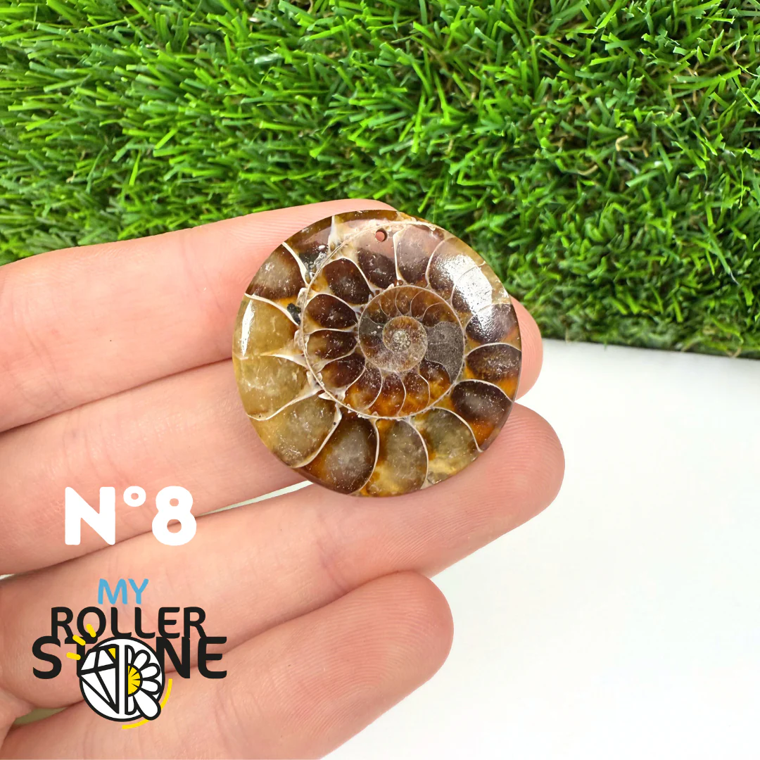 Pendentif Ammonite Percé - Image 10