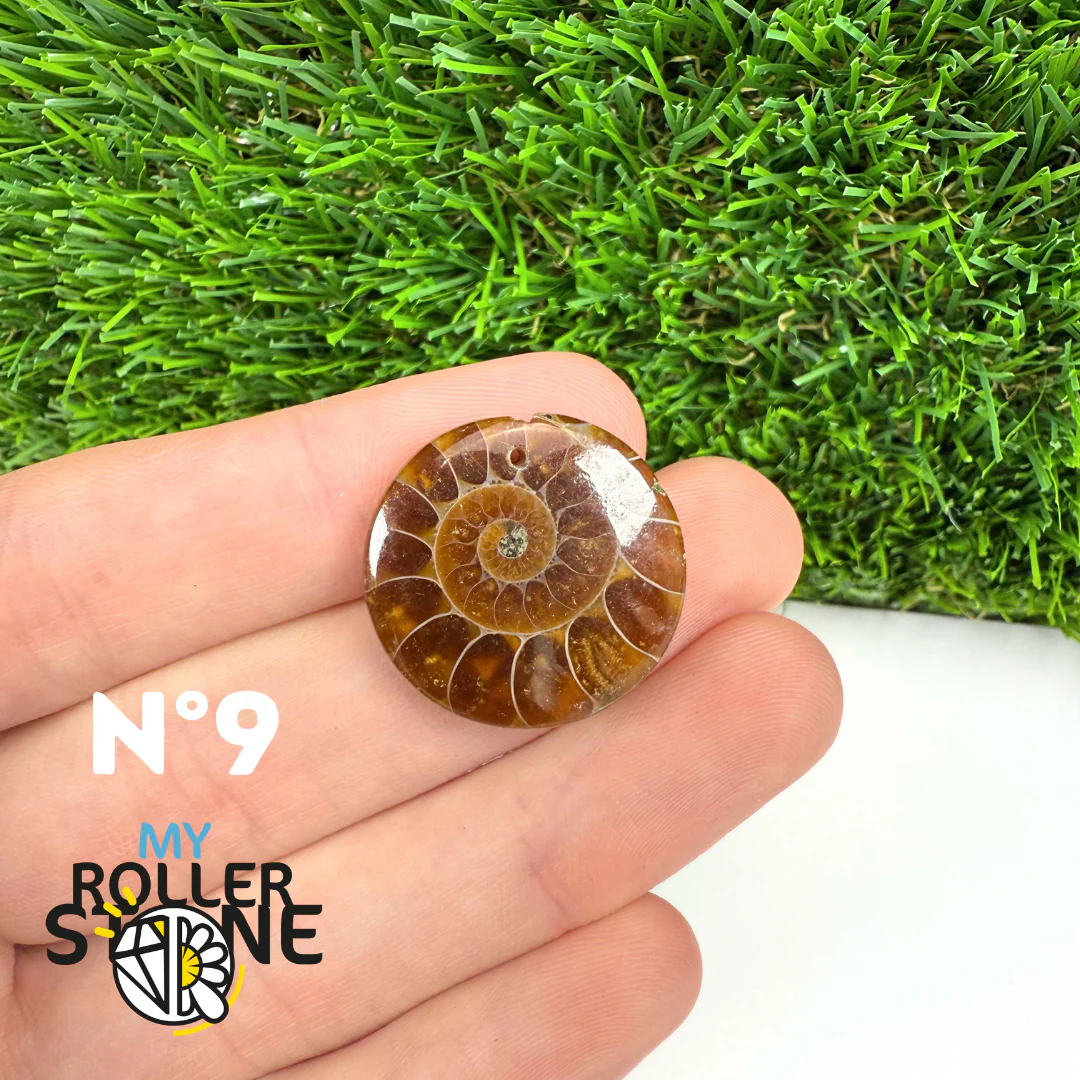 Pendentif Ammonite Percé - Image 11
