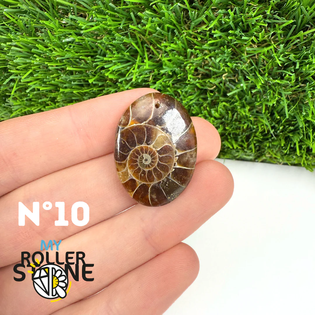 Pendentif Ammonite Percé - Image 12