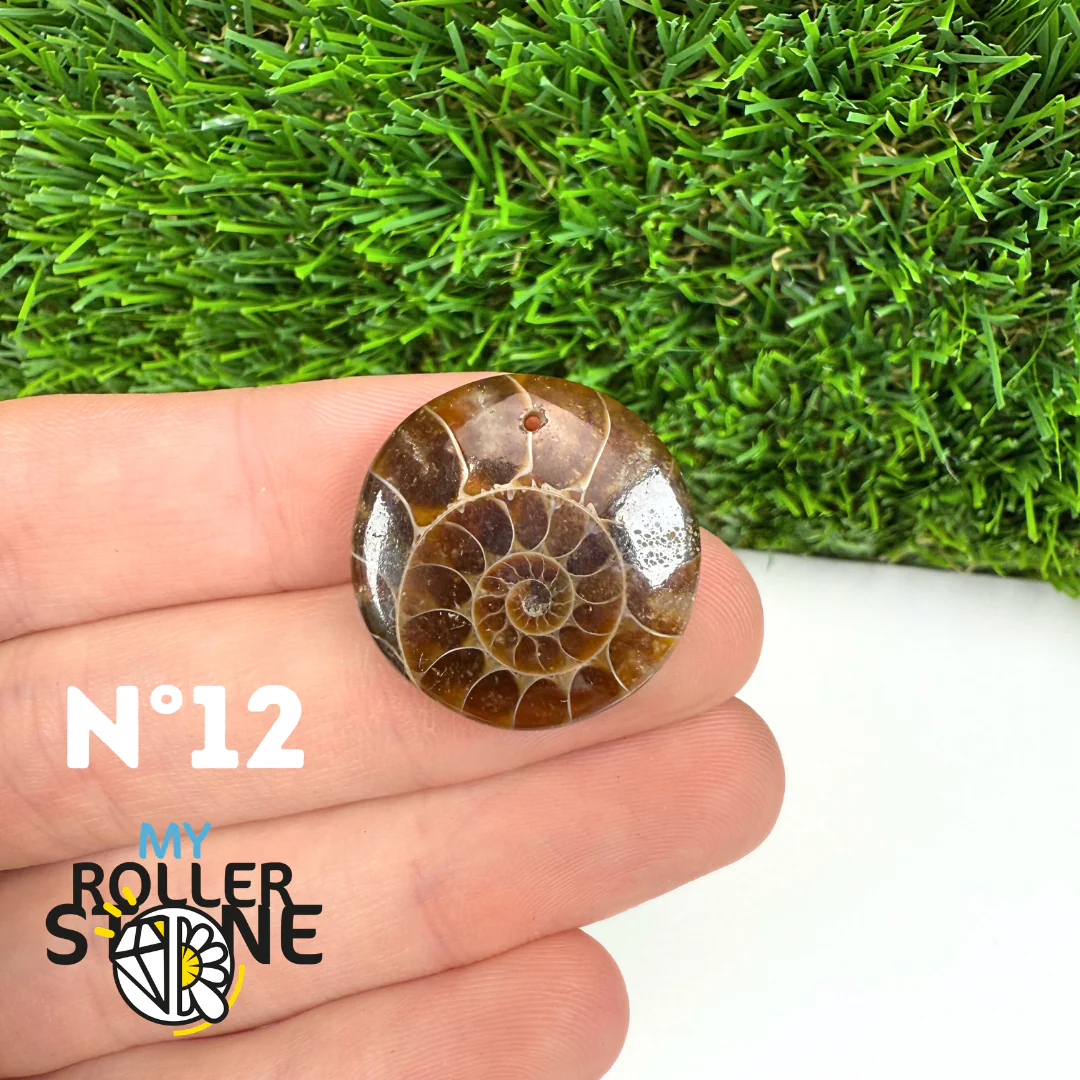 Pendentif Ammonite Percé - Image 14