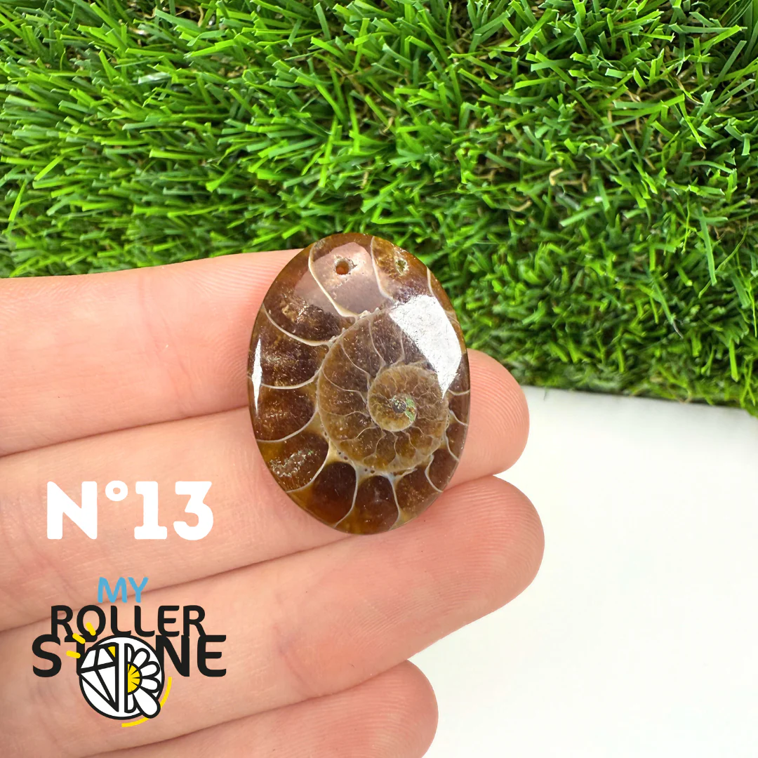 Pendentif Ammonite Percé - Image 15