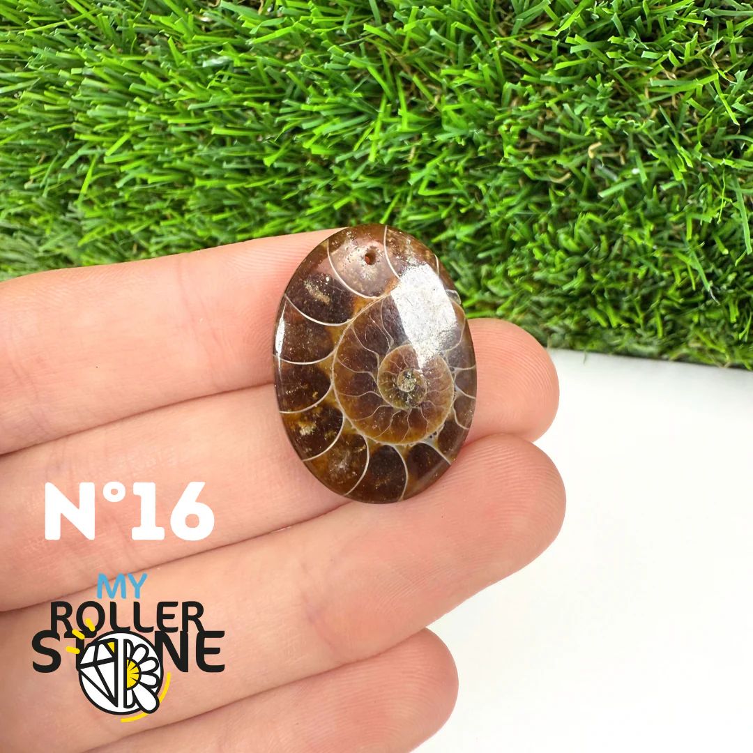Pendentif Ammonite Percé - Image 18