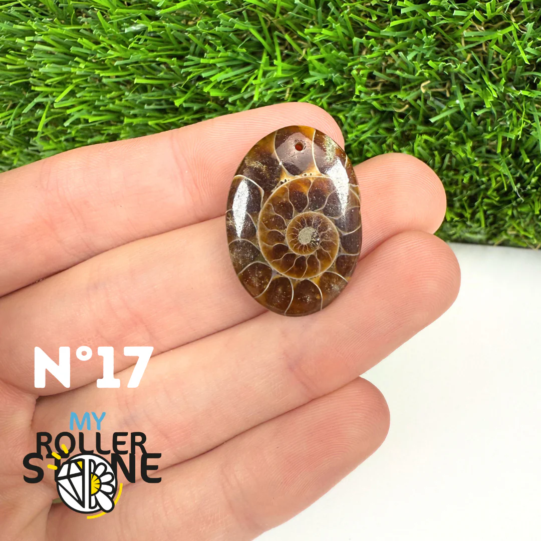 Pendentif Ammonite Percé - Image 19