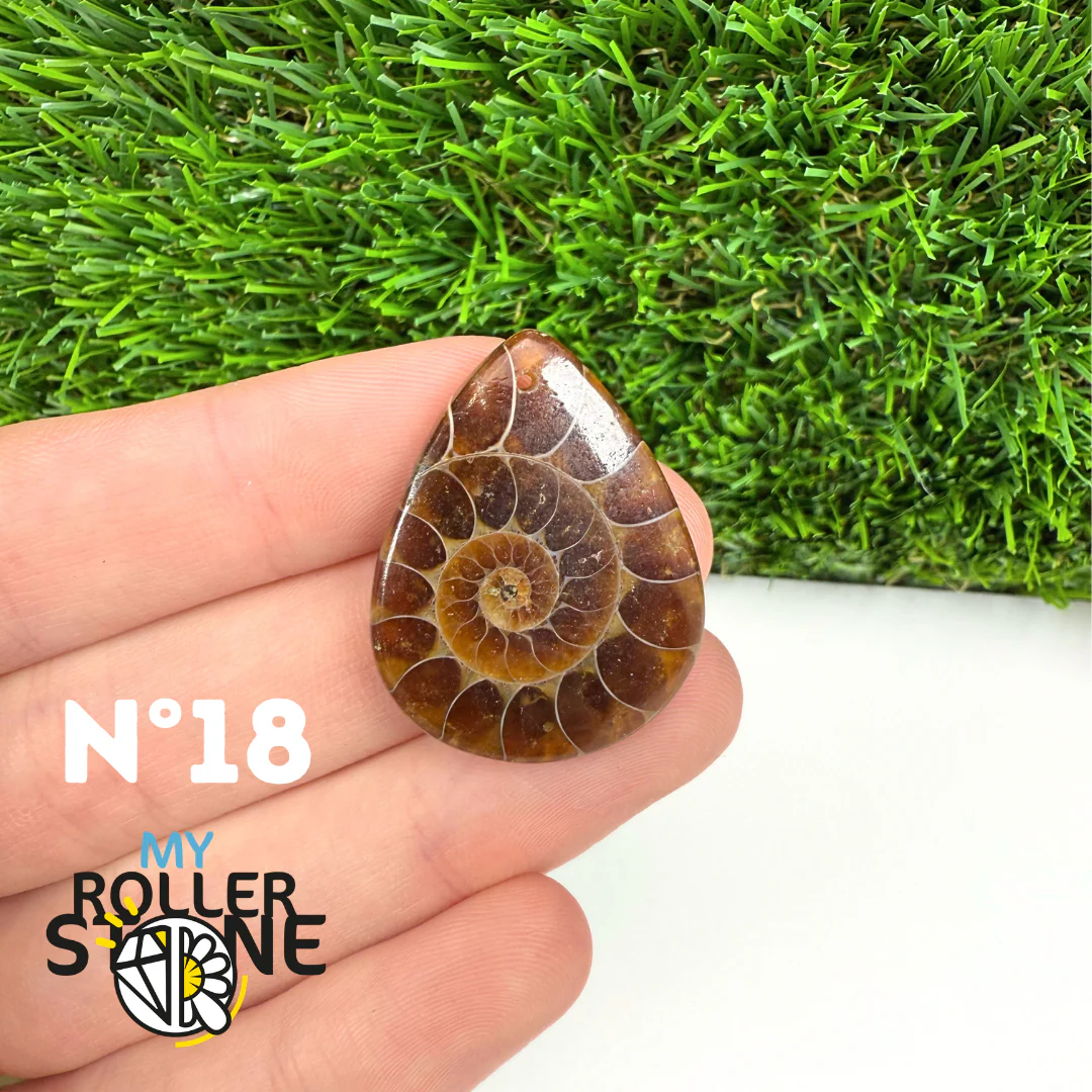 Pendentif Ammonite Percé - Image 20