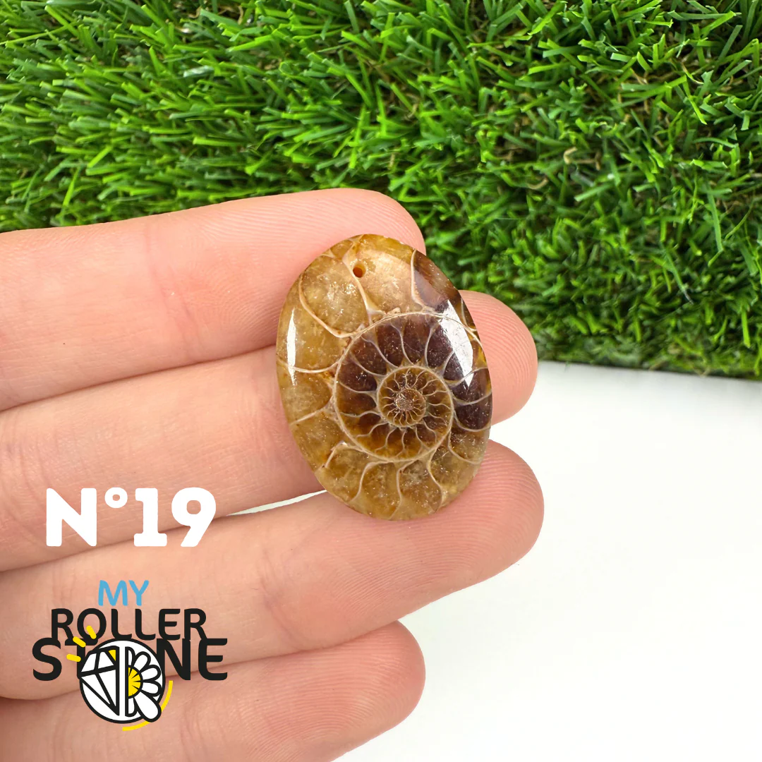 Pendentif Ammonite Percé - Image 21