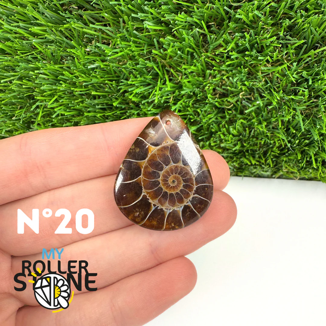 Pendentif Ammonite Percé - Image 22