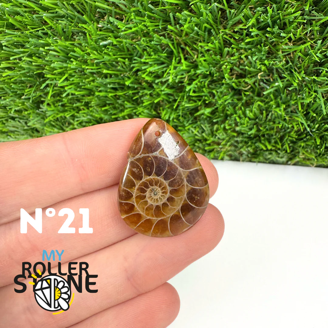 Pendentif Ammonite Percé - Image 23