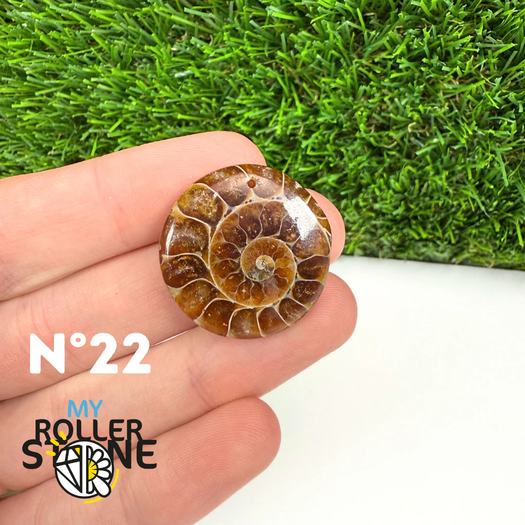 Pendentif Ammonite Percé - Image 24