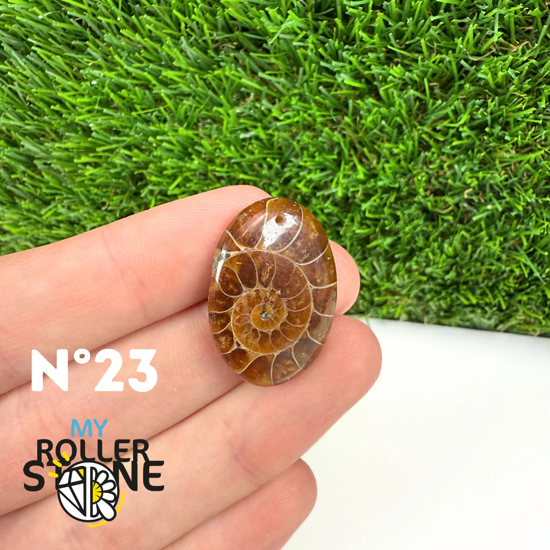 Pendentif Ammonite Percé - Image 25