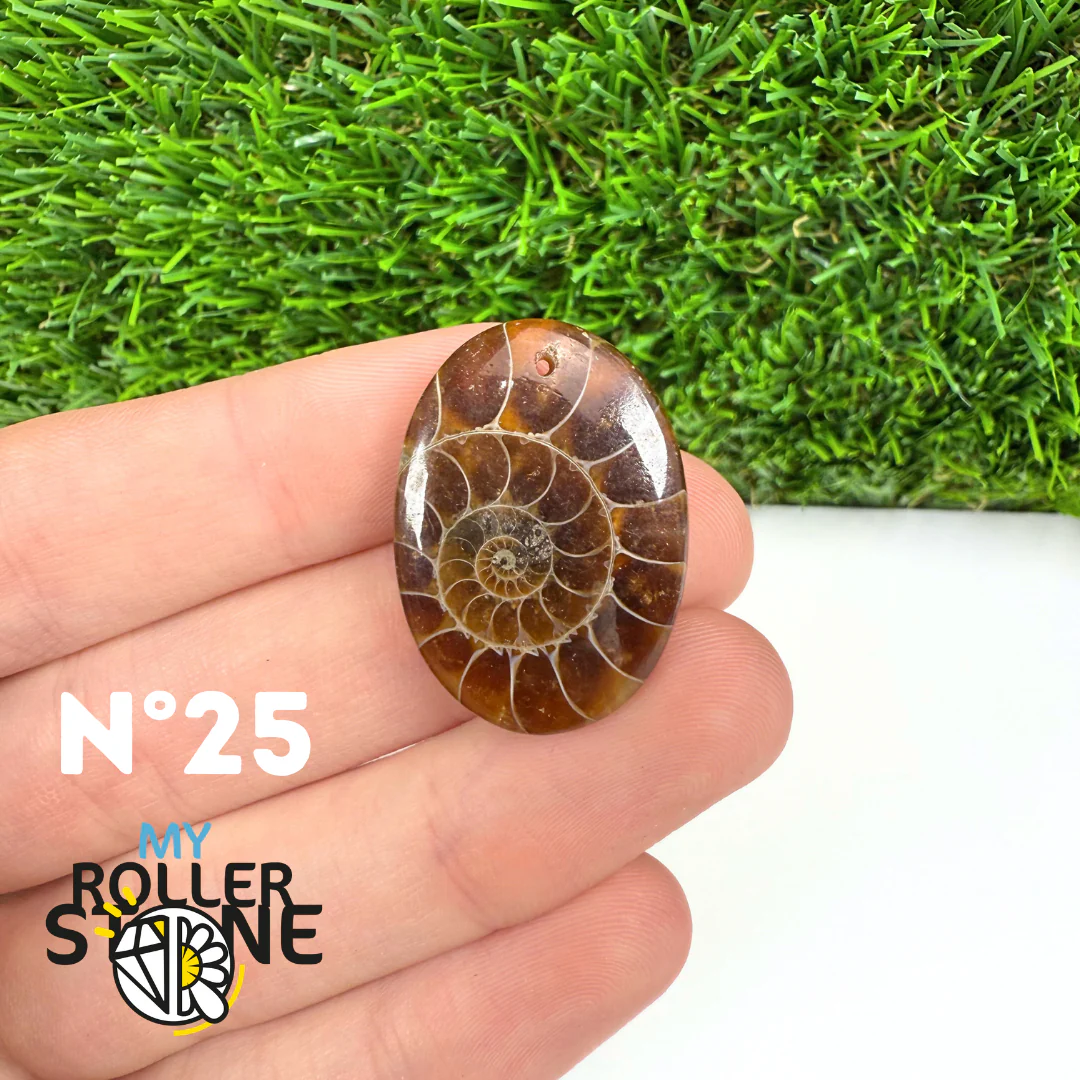 Pendentif Ammonite Percé - Image 27