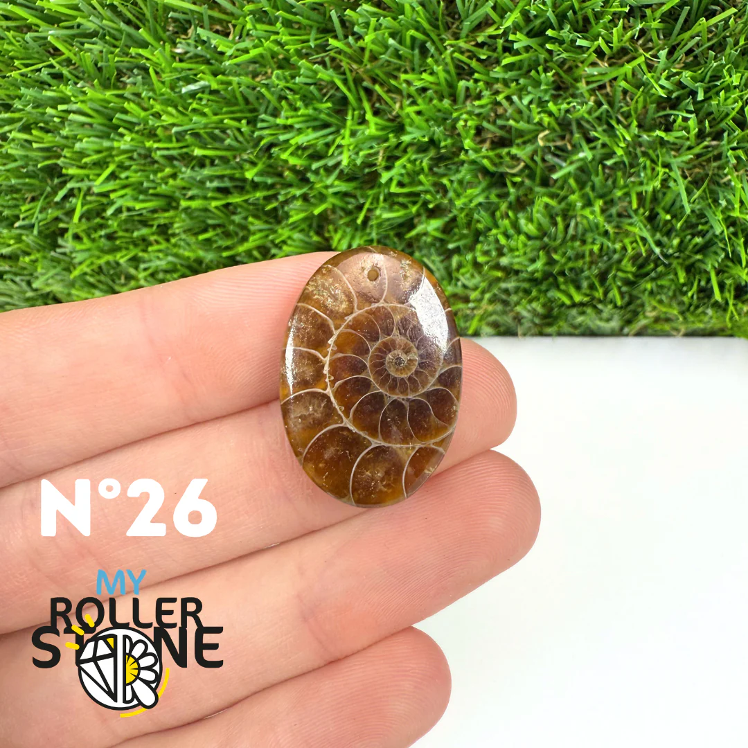 Pendentif Ammonite Percé - Image 28