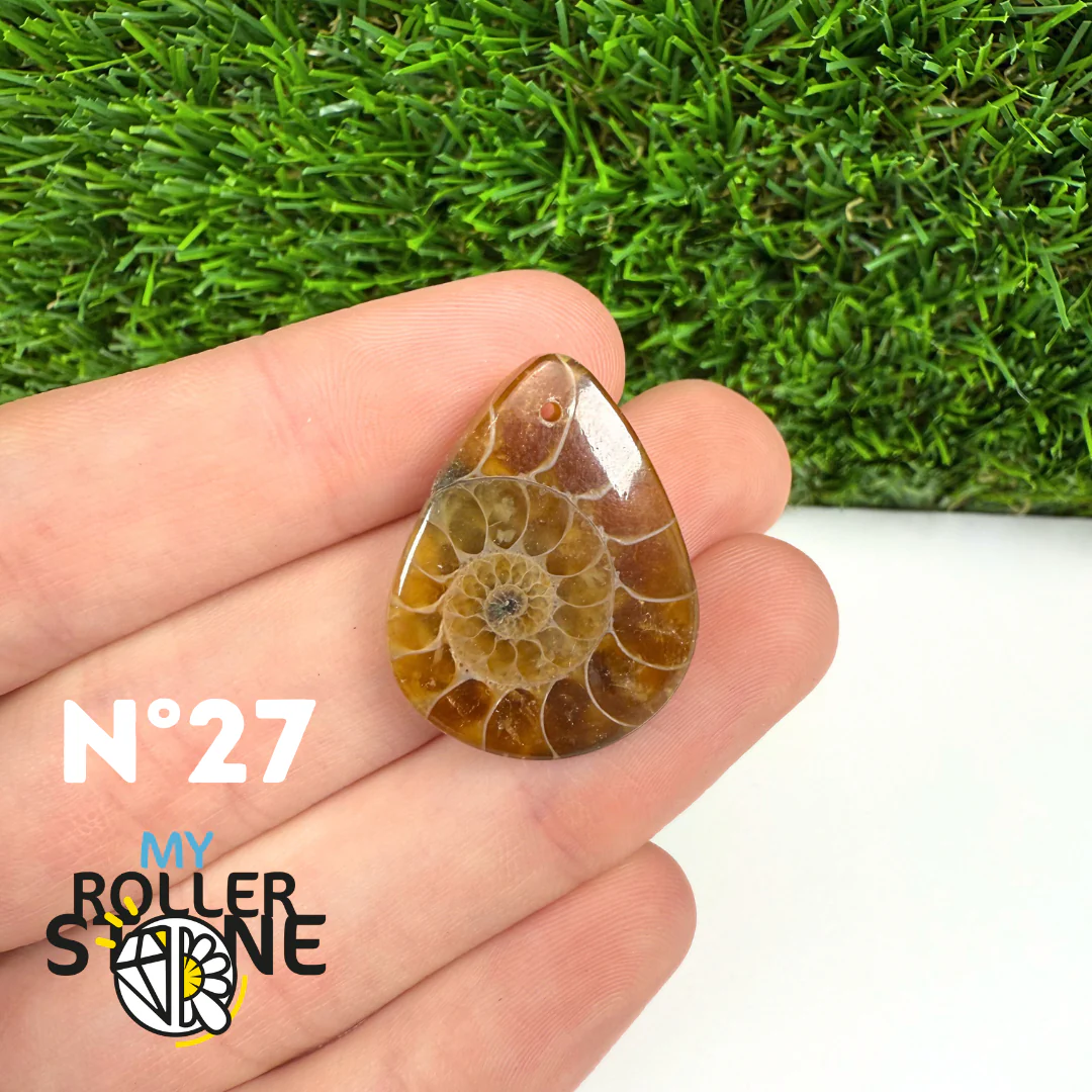 Pendentif Ammonite Percé - Image 29