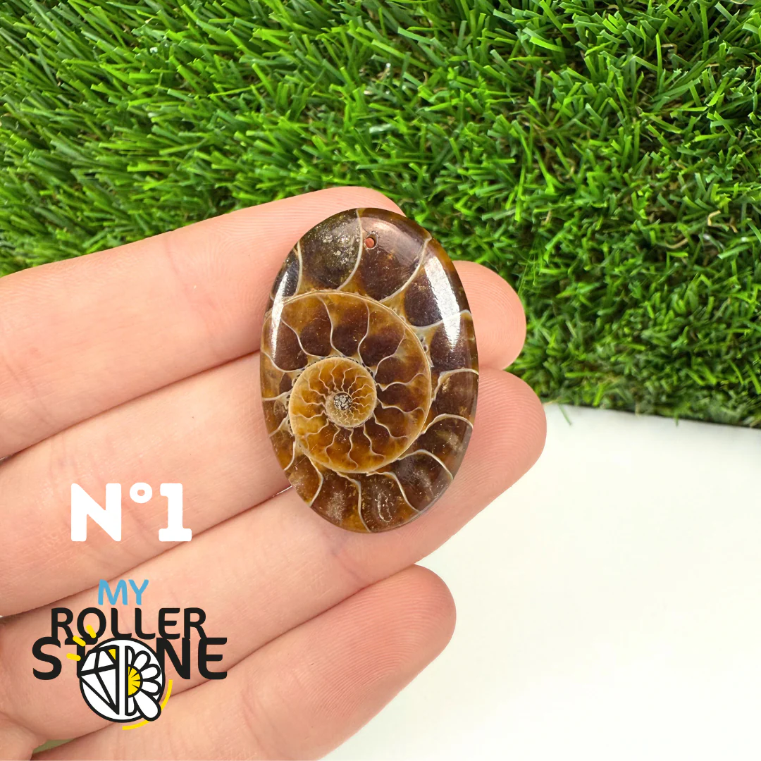 Pendentif Ammonite Percé - Image 3