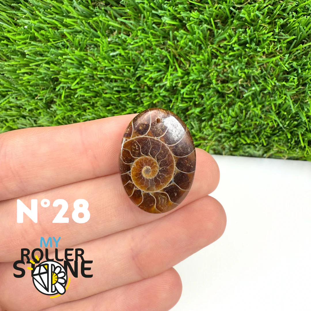 Pendentif Ammonite Percé - Image 30