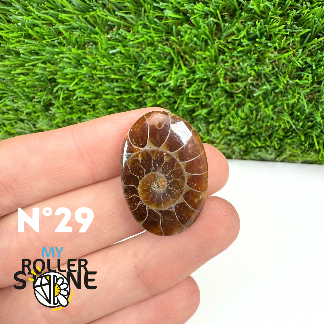 Pendentif Ammonite Percé - Image 31