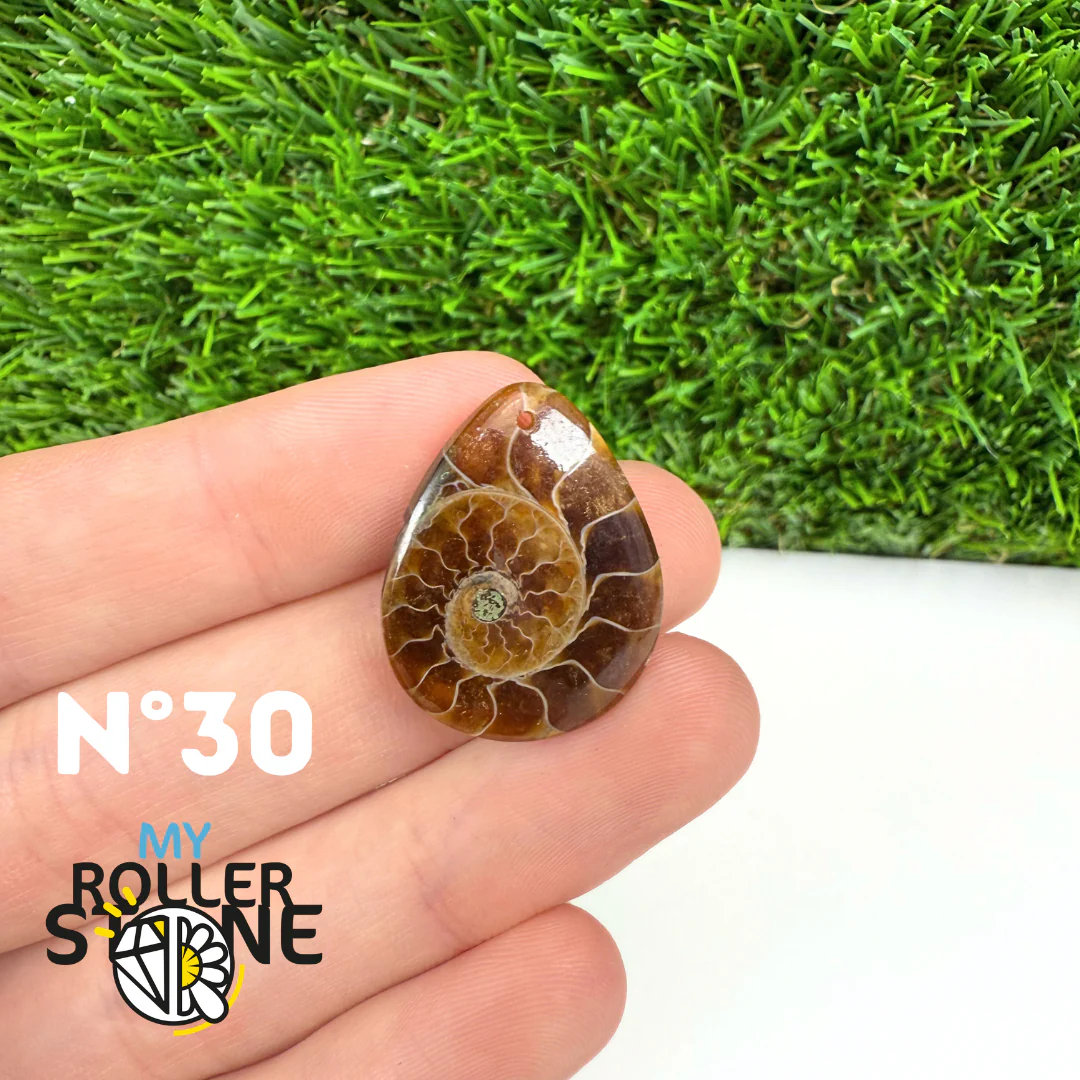 Pendentif Ammonite Percé - Image 32