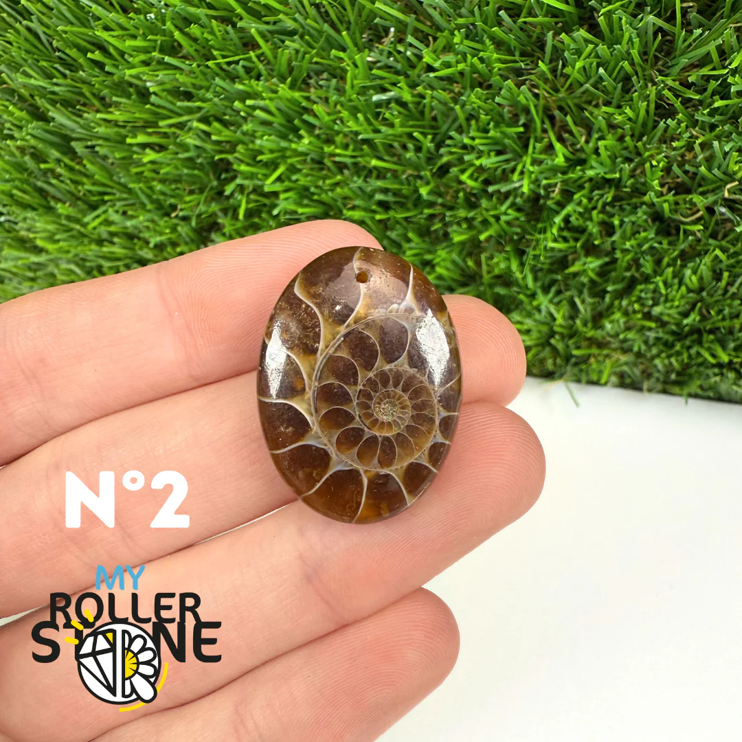 Pendentif Ammonite Percé - Image 4