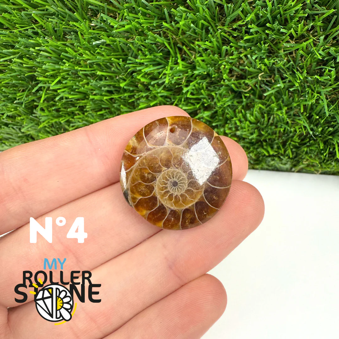 Pendentif Ammonite Percé - Image 6