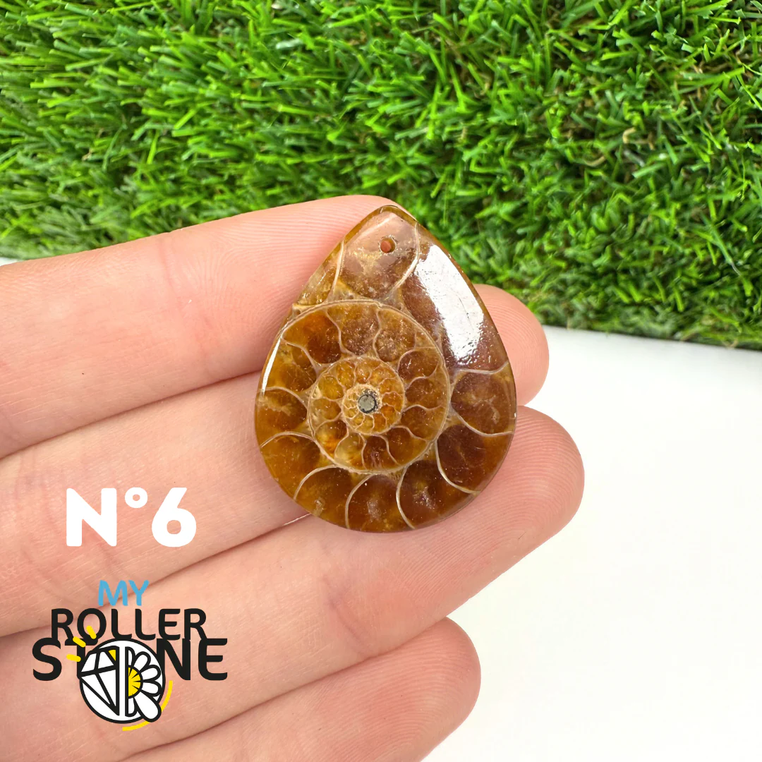 Pendentif Ammonite Percé - Image 8