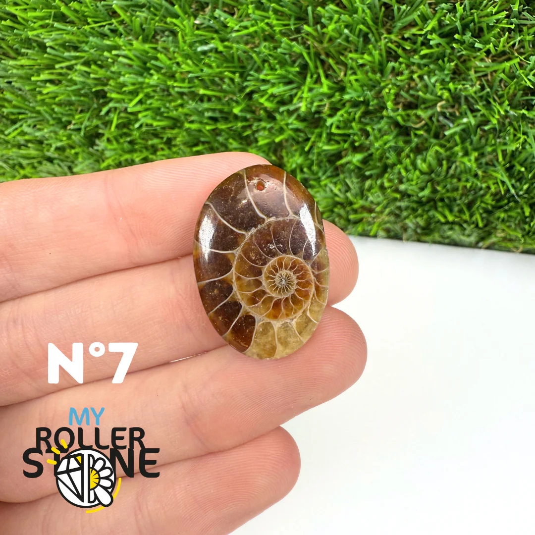 Pendentif Ammonite Percé - Image 9