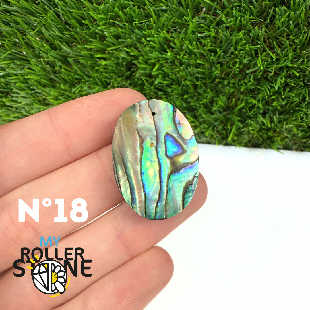 Pendentif en Abalone Forme Libre 5A - Image 21