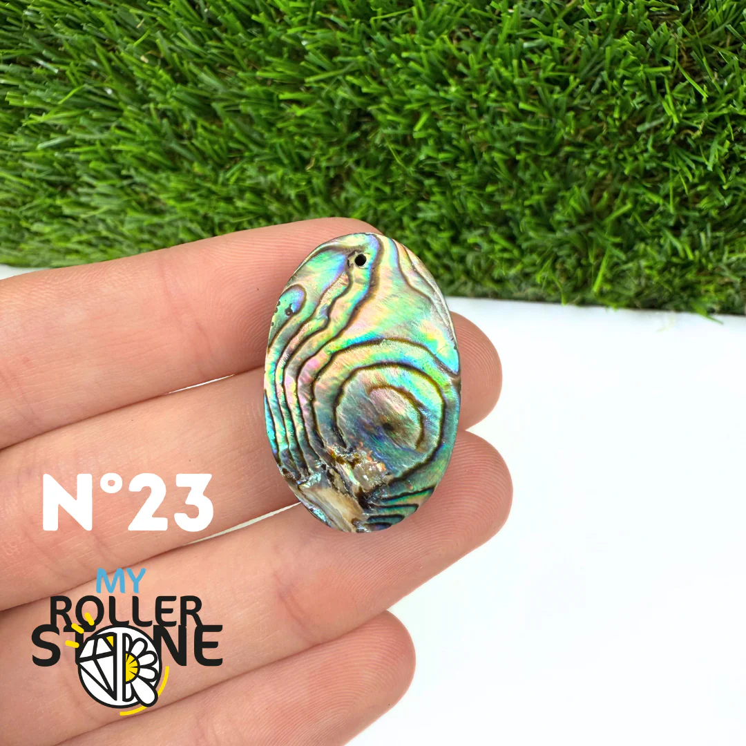 Pendentif en Abalone Forme Libre 5A - Image 26