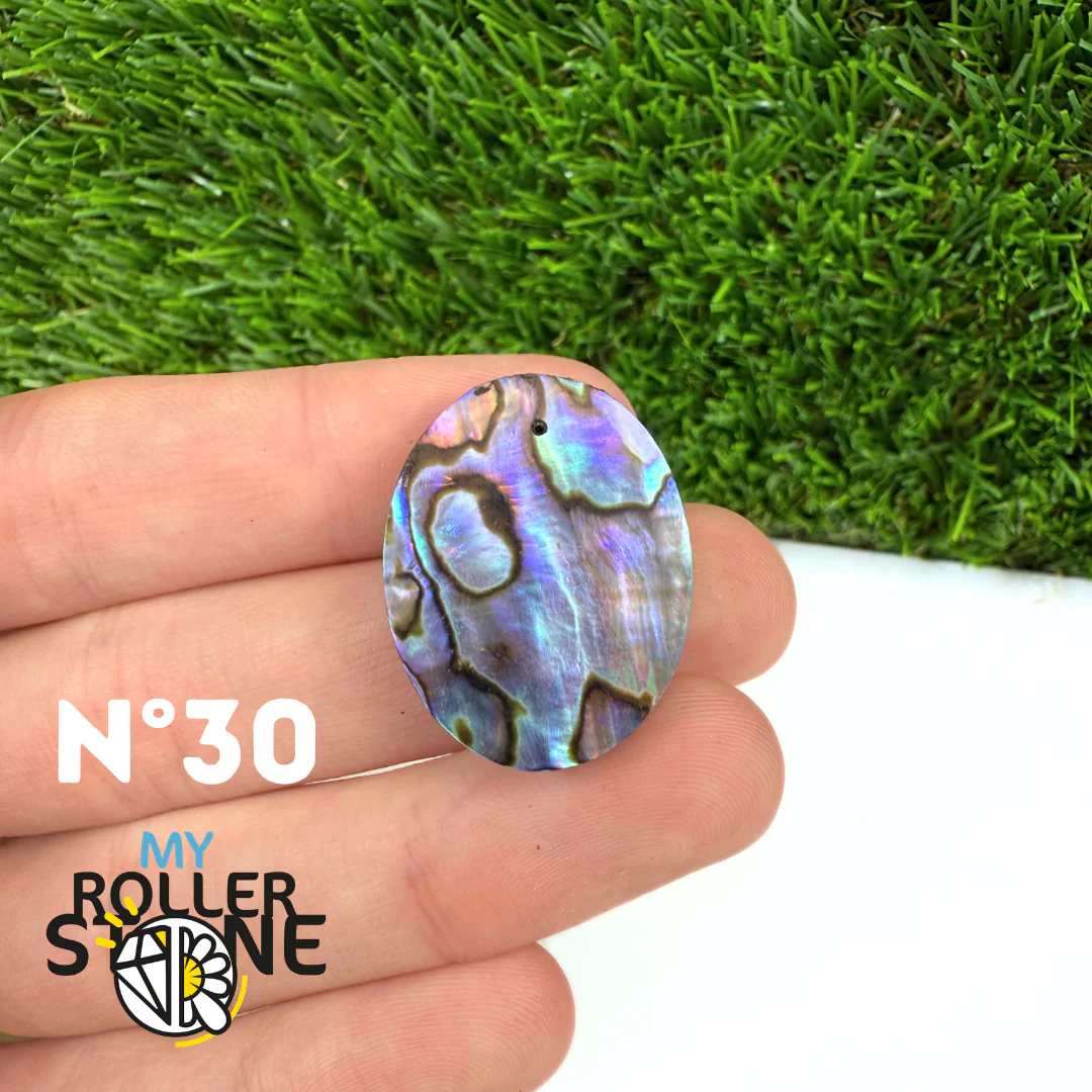 Pendentif en Abalone Forme Libre 5A - Image 33