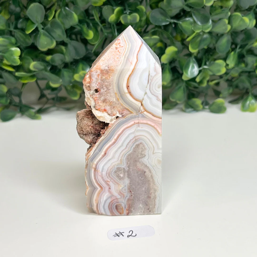 Pointe Agate Mexicaine - Image 2