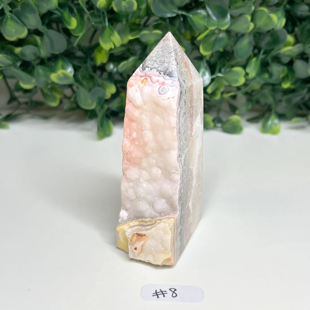 Pointe Agate Mexicaine - Image 3
