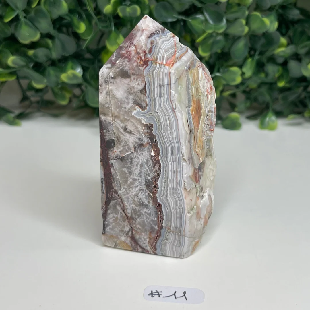 Pointe Agate Mexicaine - Image 5