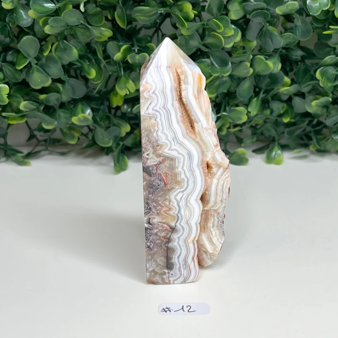 Pointe Agate Mexicaine - Image 6