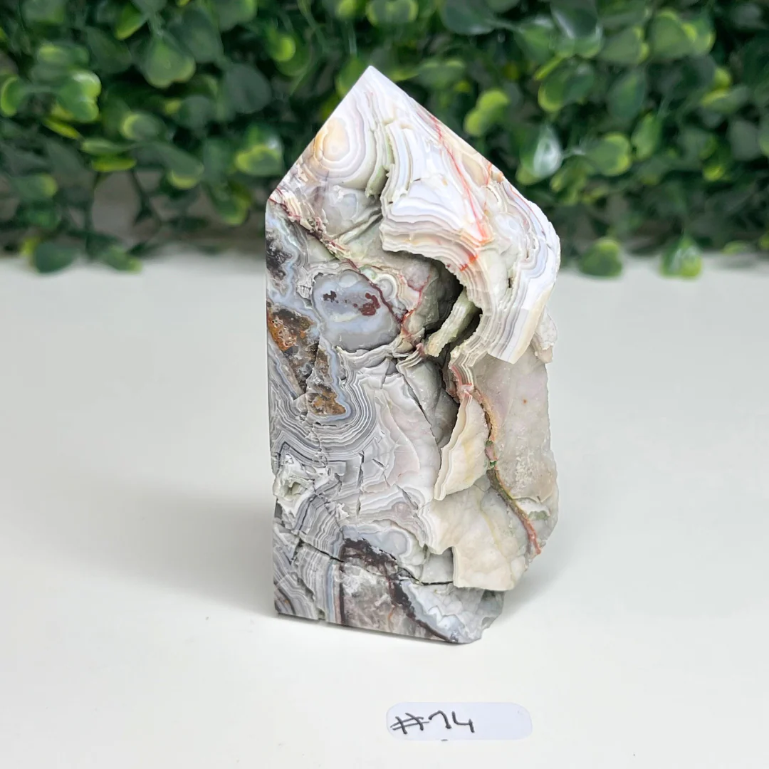 Pointe Agate Mexicaine - Image 7